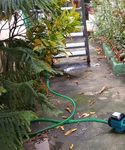 Residentes Los Prados de San Luis denuncian falta de agua por conexión irregular