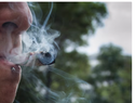 Cannabis en adolescentes afecta desarrollo cognitivo