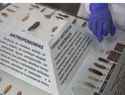 Descubren 43 figuras milenarias civilización Caral en Perú