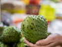 La guanábana: una fruta con altísimo poder antioxidante y antibacteriano