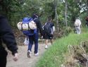 Migrantes dan la vuelta: miles retornan desilusionados del "sueño americano"