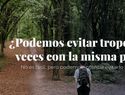 Tropezar dos veces con la misma piedra: lección de vida o advertencia ignorada