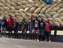 Detienen camión con indocumentados haitianos escondidos en sacos de arroz