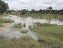 Descubren gigantesca reserva de agua en África abastecería a más de 100 millones de personas