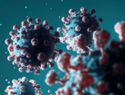 Salud: Nuevo virus preocupa OMS; podría convertirse en pandemia