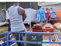 RDC supera 500 muertes por brote de ébola