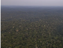 La deforestación en la Amazonía de Brasil cae 35 %