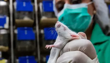 Un fármaco que regenera células madre alarga la esperanza de vida en ratones