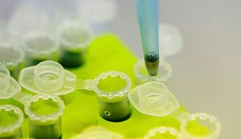 Detectan 107 casos sospechosos de Chikungunya en Herrera