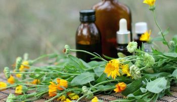 15 remedios naturales para controlar la diabetes