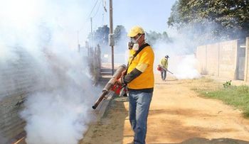 Iniciarán 2da etapa Plan Prevención del dengue y chikungunya