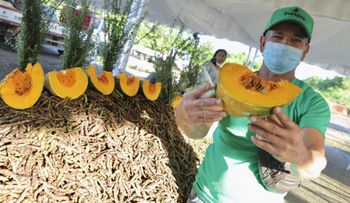 RD tiene la canasta básica alimentaria más barata de Centroamérica y el Caribe