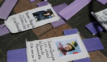 Llegó el feminicidio de mujeres dominicanas a Los Estados Unidos?