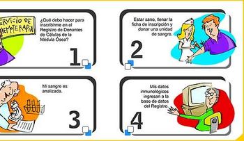 Requisitos para donar médula ósea