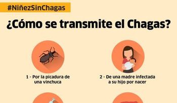 Estados Unidos aprueba un medicamento argentino contra enfermedad de Chagas