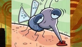Los mosquitos prefieren picar a los "borrachos"