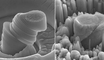 Fuerte y ligero: Investigadores crean un nuevo y revolucionario metal
