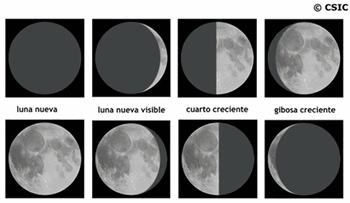 Las fases de la luna y su influencia en tu vida