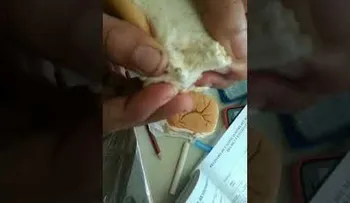 Autoridades investigan caso de gusanos en pan del desayuno escolar
