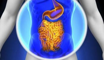 Las bacterias intestinales existen antes que el ser humano, según estudio