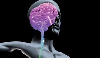 La falta de sueño acelera el envejecimiento del cerebro  