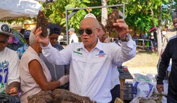 Inespre acerca grandes ferias a San Cristóbal