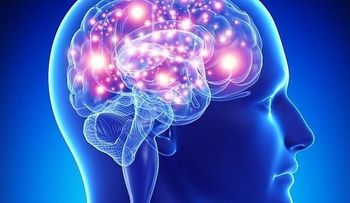 Descubren proteína de la longevidad puede hacerte más inteligente  