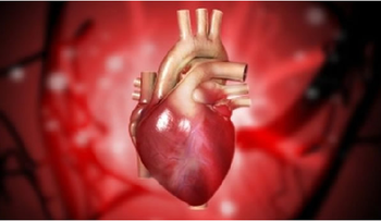 Descubren método para que el corazón se cure a sí mismo después de un infarto