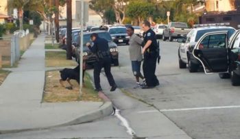Coño, si te dieron un chance para que te pone a discutir con el Policía