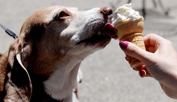 Adelgazar comiendo helados?
