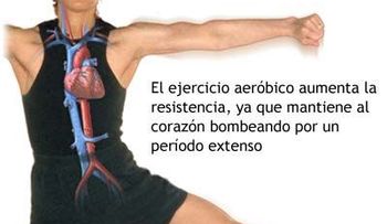 Beneficios de las pesas para mejorar fuerza muscular y la capacidad cardiaca y respiratoria