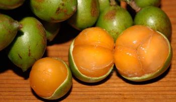Esta fruta ha demostrado ser más efectiva que muchas para curar el cáncer y otras enfermedades
