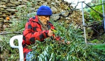 No quiso ir quimioterapia y vivió 102 años