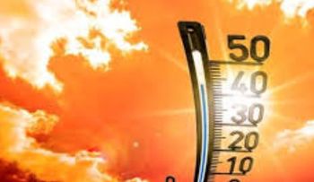 Ola de calor extremo rompe récords, causando cientos de muertes