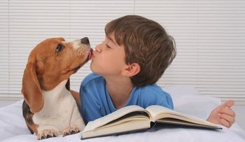 Ojo: Un parásito del perro puede dejar ciegos a los niños