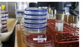 Nueva forma de eliminar bacterias resistentes a antibióticos