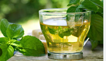 El té de orégano, aliado del estómago