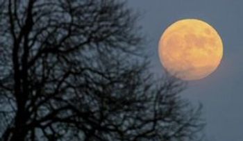 El claro de Luna será superluminoso el lunes 14 de noviembre