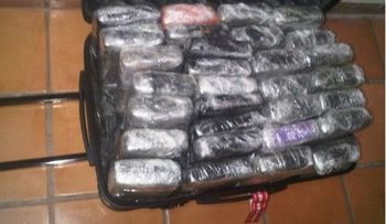 Decomisan 30 kilos de droga en aeropuerto de Punta Cana
