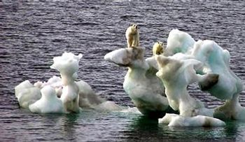 Los hombres desaparecerían del mundo por el cambio climático 
