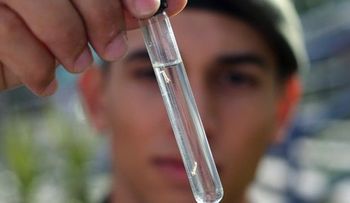 ¿Pueden vincular el zika y la microcefalia?