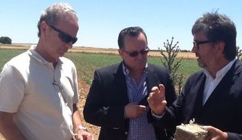 Biomasa y las nuevas plantas a carbón mineral