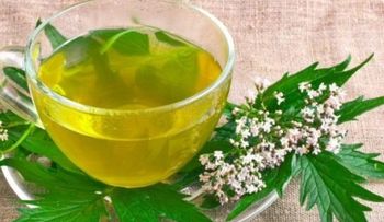 El té que baja la presión
