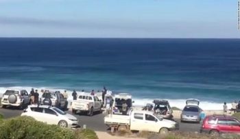 Ataque de tiburón obliga a detener campeonato de surf en Australia