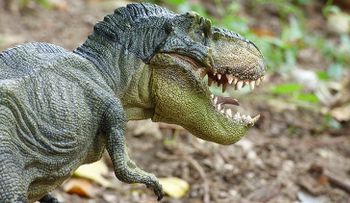¿Un asteroide no hizo desaparecer a los dinosaurios? Los científicos arrojan luz sobre su extinción