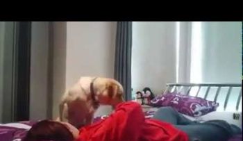 Este perro evita asfixia de su dueña cuando sufre una epilepsia (VIDEO)
