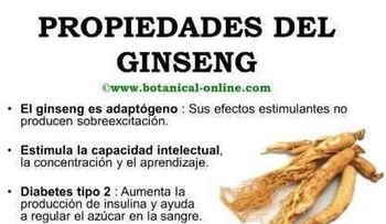 Plantas medicinales, propiedades del Ginseng