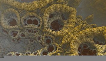 Una bacteria comepiernas causa pánico entre los regatistas olímpicos 