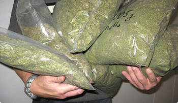 DNCD apresa haitiano cruzó la frontera para vender cinco libras de marihuana 