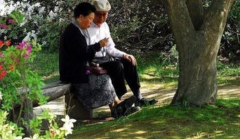 En primavera las personas suelen tener una mejor salud física y emocional (del 22 de marzo al 22 de junio)